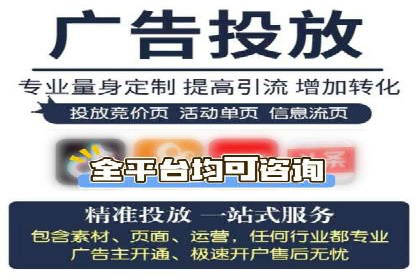 SEM服务托管实战案例分析报告